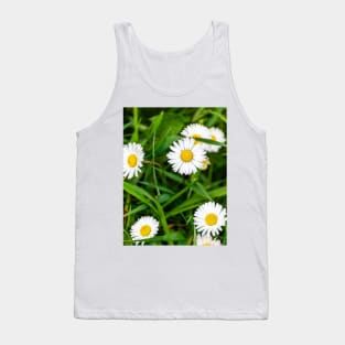 Daisies, spring flowers full of tenderness and beauty Tank Top